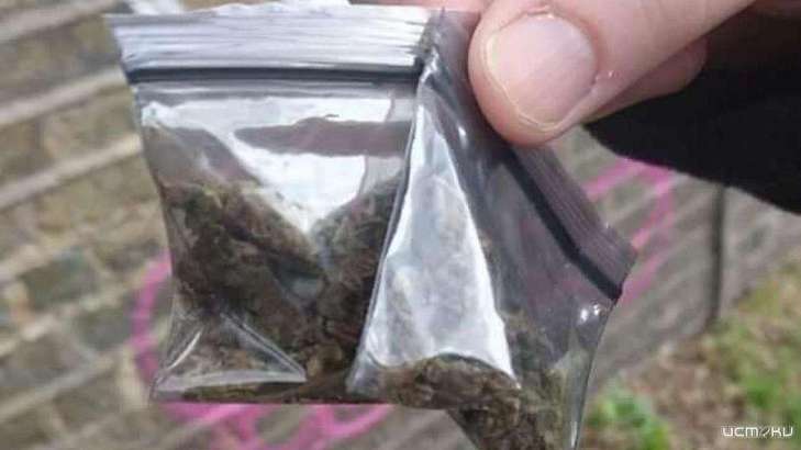 В Орле поймали двух наркоманов, пришедших за "закладкой" В Орле поймали двух наркоманов, пришедших за "закладкой"