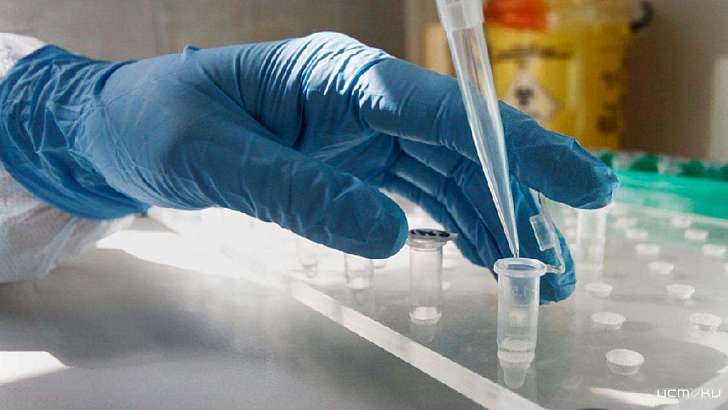 В Орловской области назвали тех, кому необходимо провериться на коронавирус В Орловской области назвали тех, кому необходимо провериться на коронавирус