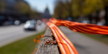 Сбербанк День Победы  Акция «Георгиевская ленточка» стартует 24 апреля – как получить символ Победы?