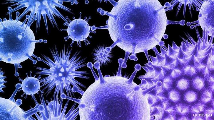 У 77 орловчан с диагнозом COVID-19 тяжело протекает пневмония У 77 орловчан с диагнозом COVID-19 тяжело протекает пневмония