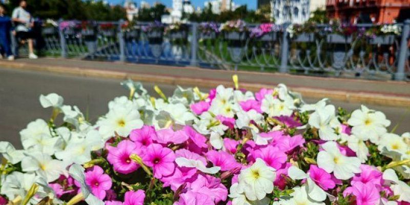 конкурс Орел может стать «Культурной столицей года»