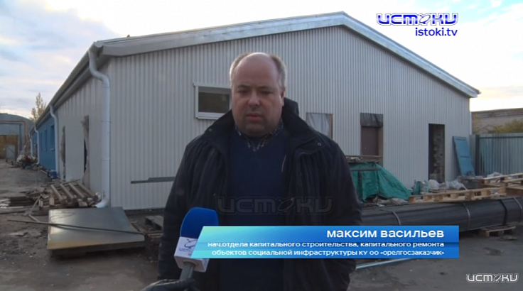 В Курске отловили собаку, разорвавшую кота, а что в Орле? В Курске отловили собаку, разорвавшую кота, а что в Орле?