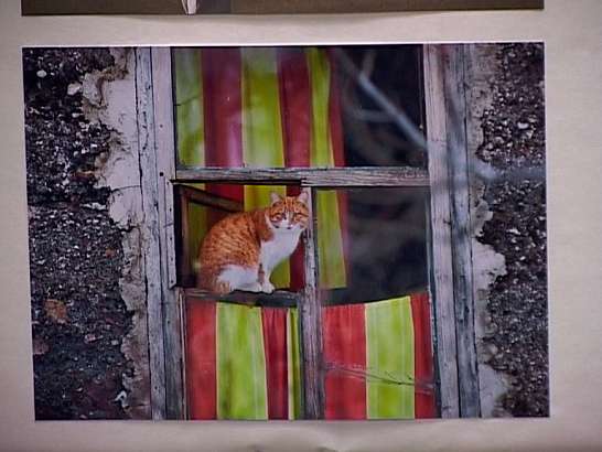 Борис Яхович и его команда Борис Яхович и его команда