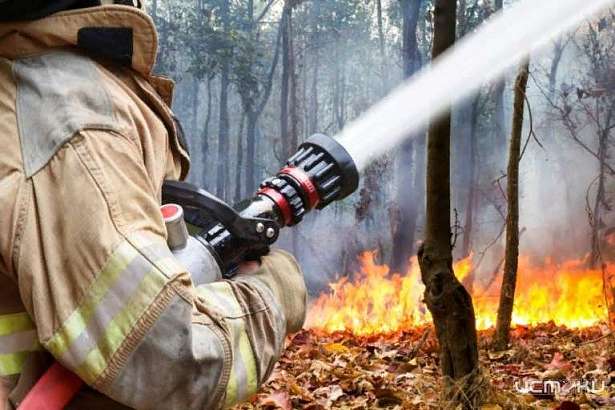 На Орловщине введен противопожарный режим  На Орловщине введен противопожарный режим