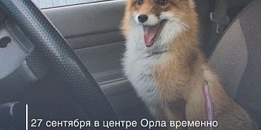 ограничение движения В субботу в центре Орла ограничат движение и запретят парковку
