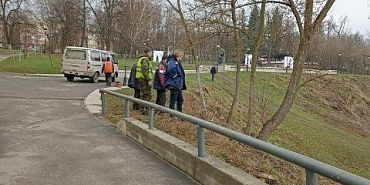 вырубка Деревья города Орла Орловская прокуратура нашла виновных в гибели деревьев в горпарке