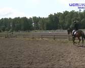 Чемпионата Орловской области в конно-спортивной школе "Ледно" Чемпионата Орловской области в конно-спортивной школе "Ледно"