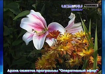 Хорошо забытое старое 10.08.2025 Хорошо забытое старое 10.08.2025