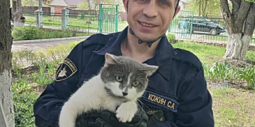 спасатели мчс Спасение кота  Орловские спасатели пришли на помощь коту, взволновавшему воспитанников детского сада
