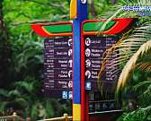 Из-за пандемии ушли в онлайн: как развлекает орловчан горпарк Из-за пандемии ушли в онлайн: как развлекает орловчан горпарк