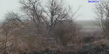 экспертное мнение опасность сухостоя Управление Россельхознадзора по Орловской и Курской областям Чем опасен сухостой на землях сельхозназначения рассказали специалисты орловского и курского Россельхознадзора