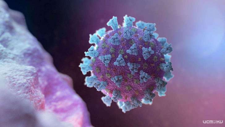 COVID-19 и то, как он изменил жизнь орловчан: топ-3 новостей минувшей недели  COVID-19 и то, как он изменил жизнь орловчан: топ-3 новостей минувшей недели