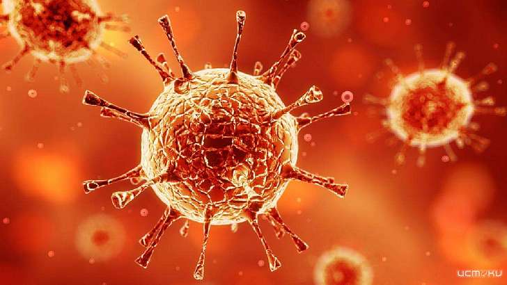 Число заразившихся коронавирусом орловчан превысило отметку в 16 000 Число заразившихся коронавирусом орловчан превысило отметку в 16 000