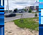 Вандалы сломали молодые клены на улице Ломоносова, Вандалы сломали молодые клены на улице Ломоносова,