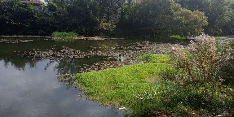 утонул мужчина Под Орлом из реки достали тело 34-летнего мужчины
