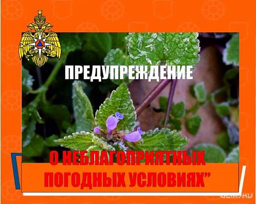 На Орловщину придут заморозки - МЧС На Орловщину придут заморозки - МЧС