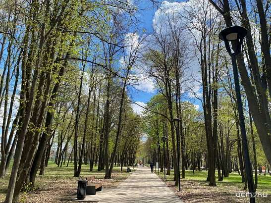 Сегодня передышка между дождями. А что потом? Сегодня передышка между дождями. А что потом?