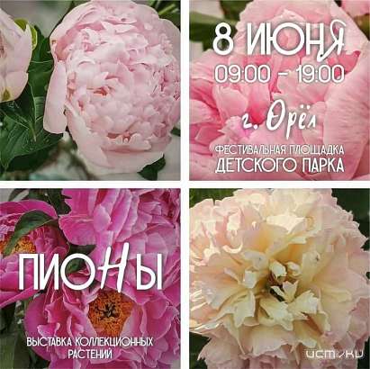 Цветочный праздник Цветочный праздник