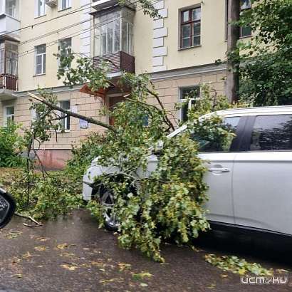 В Орле дерево после ветра упало на машину В Орле дерево после ветра упало на машину