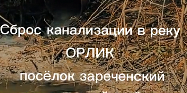 народный корреспондент конкурс макси-пицца Определен новый народный корреспондент «Истоков»