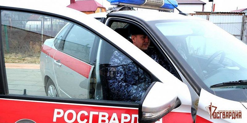 кража Росгвардия В Орле росгвардейцы задержали двух мужчин, подозреваемых в неоднократных кражах из магазинов