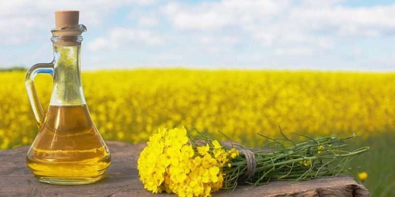 Масло  По объему производства рапсового масла Орловская область на втором месте в ЦФО и третьем - в России