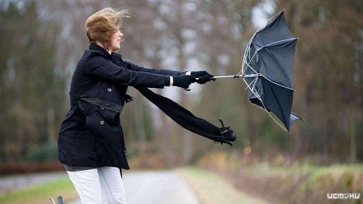 Орловские спасатели предупреждают о надвигающемся урагане Орловские спасатели предупреждают о надвигающемся урагане