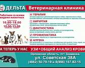 Ветеринарная клиника «Дельта» - залог здоровья ваших питомцев Ветеринарная клиника «Дельта» - залог здоровья ваших питомцев