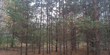 поисковый отряд интернет Орловским поисковым отрядам стало тяжелее работать из-за отсутствия интернета