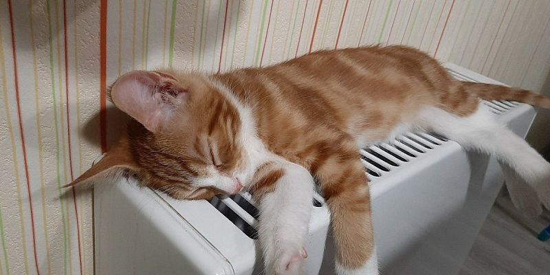 отопление В Орловской области на этой неделе могут включить отопление