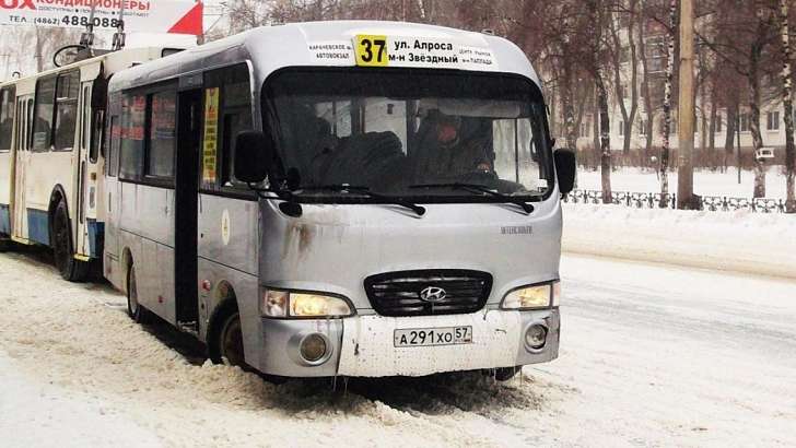 Водитель маршрутки в Орле помог маленькому местному жителю Водитель маршрутки в Орле помог маленькому местному жителю