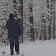 Лыжники - идите лесом. В декабре 2022 года опушку Медведевского леса облагородили, но удобств для любителей лыж в проекте не предусмотрели