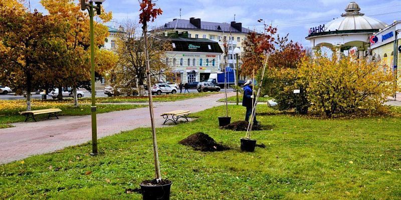 Деревья города Орла Деревья с Александровского моста в Орле «переезжают»