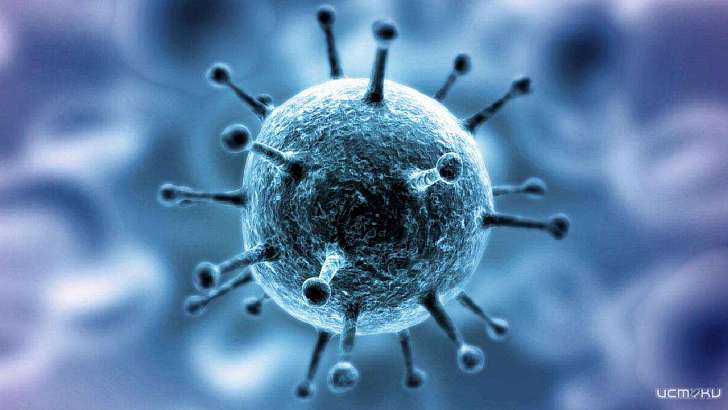 В Орловской области 14 пациентов с COVID-19 находятся в тяжелом состоянии В Орловской области 14 пациентов с COVID-19 находятся в тяжелом состоянии
