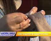 Сезон ямочного ремонта, надбавки медикам за борьбу с COVID-19 – сегодня в программе «Оперативный эфир» Сезон ямочного ремонта, надбавки медикам за борьбу с COVID-19 – сегодня в программе «Оперативный эфир»