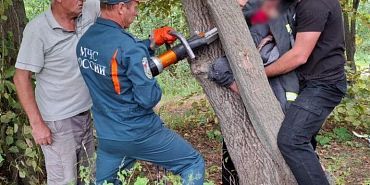 МЧС по Орловской области В Ливнах спасатели помогли девочке, угодившей в ловушку между деревьями