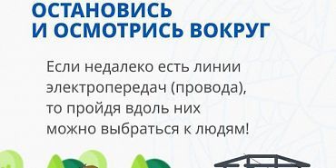 По грибы да по ягоды. Спасатели напоминают как не заблудиться в лесу По грибы да по ягоды. Спасатели напоминают как не заблудиться в лесу