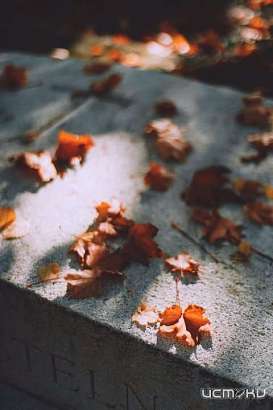 Орловчанам стало дороже умирать Орловчанам стало дороже умирать