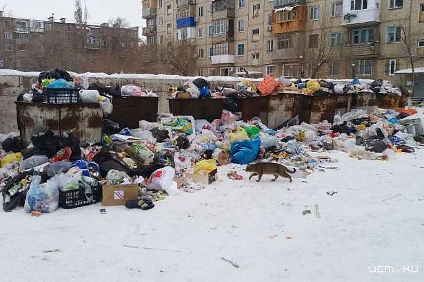 Орловчанам официально предложили складывать мусор прямо на улице  Орловчанам официально предложили складывать мусор прямо на улице