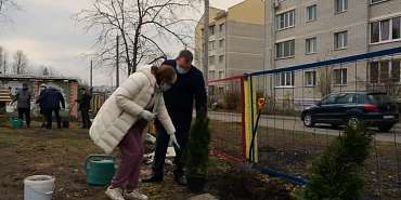 Депутат горсовета Сергей Кутенев помог дому ребенка посадить деревья