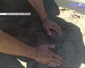 В Орле горели офисы в здании Научприбора, власти сделали первый шаг к строительству альтернативного выезда из Зареченского микрорайона, а мэр пообещал... В Орле горели офисы в здании Научприбора, власти сделали первый шаг к строительству альтернативного выезда из Зареченского микрорайона, а мэр пообещал...