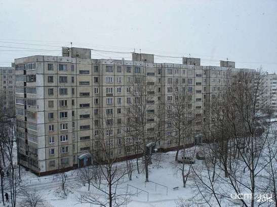 Жители дома №27 в Орле второй месяц страдают от трупного запаха Жители дома №27 в Орле второй месяц страдают от трупного запаха