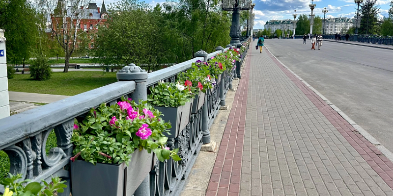 майские праздники цветы мост Александровский мост в Орле заиграет красками петуний!