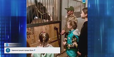Дети участников СВО посетили конный клуб. Экспресс - новости. Дети участников СВО посетили конный клуб. Экспресс - новости.