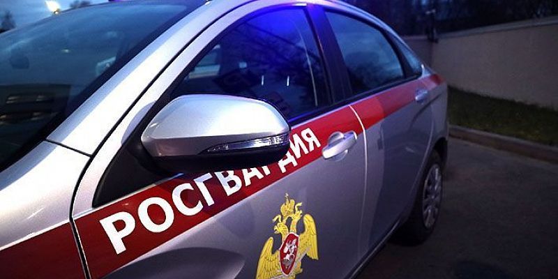 кража Росгвардия Орловские Росгвардейцы пресекли кражу из магазина