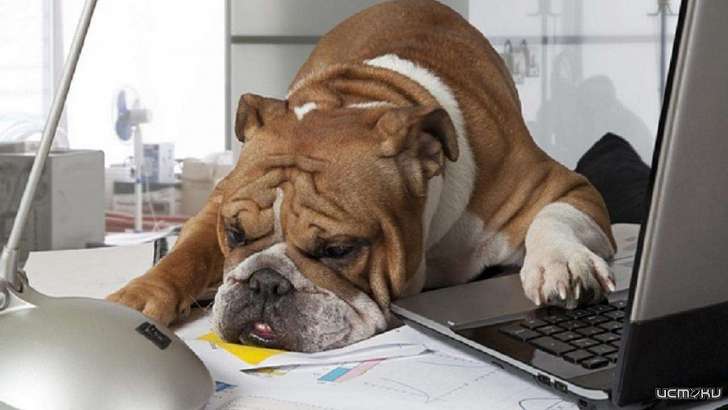 Более 5500 орловчан ушли на удаленку Более 5500 орловчан ушли на удаленку