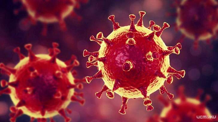 «Нехорошая перспектива»: с подозрением на COVID-19 изолированы 72 орловчанина «Нехорошая перспектива»: с подозрением на COVID-19 изолированы 72 орловчанина