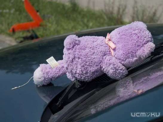 С начала года в Орловской области произошло более 30 ДТП с участием детей С начала года в Орловской области произошло более 30 ДТП с участием детей