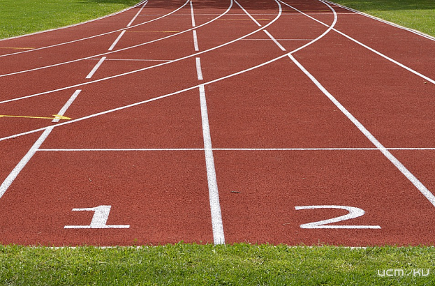 В Орле перенесли дедлайн строительства ФОКа у Медведевского леса В Орле перенесли дедлайн строительства ФОКа у Медведевского леса