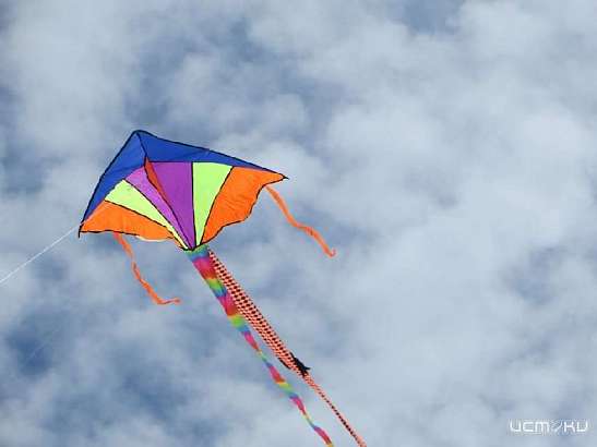 Завтра в небо над Орлом запустят цифровых воздушных змеев Завтра в небо над Орлом запустят цифровых воздушных змеев